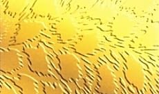 Stainless Patterned Sheet